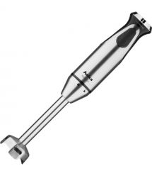 Hansa Блендер Amica заглибний, 1000Вт, нержавіюча сталь