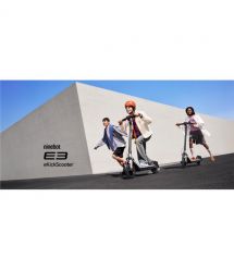 Segway Електросамокат Segway-Ninebot E3, сірий