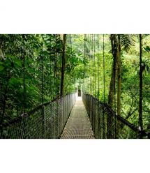 HP Ноутбук HP Probook 4-G1a 14" WUXGA IPS, AMD R3-210, 24GB, F1024GB, UMA, DOS, сріблястий