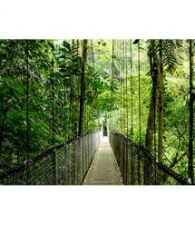 HP Ноутбук HP Probook 4-G1a 16" WUXGA IPS, AMD R5-230, 32GB, F1024GB, UMA, DOS, сріблястий