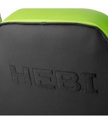 2E Gaming Игровое кресло HEBI Black/Green