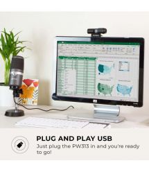 AVerMedia Вебкамера PW313 FullHD, 30fps, fixed focus, чёрний