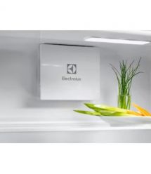 Electrolux Холодильная камера встраиваемая, 177x55х55, 309л, А++, ST, дисплей, белый