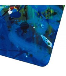 2E Gaming Игровая поверхность PRO Speed D07, XL (800x450x3мм), многоцветный