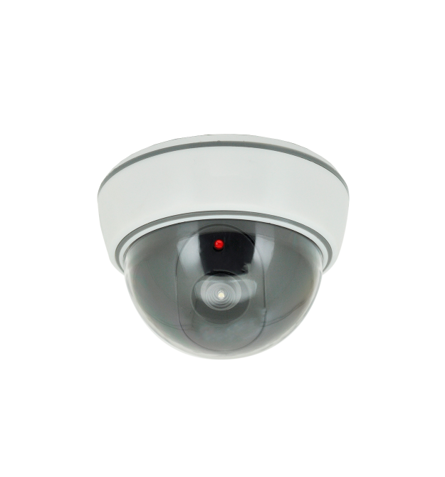 Муляж внутрішньої камери купольна А8-2