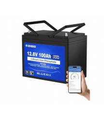 Аккумуляторная батарея DC HOUSE LiFePO4 12,8V 100Ah,(50 - 100A), 0C до 55C, гвинт M8, 260х168х209 мм. 10.8 кг
