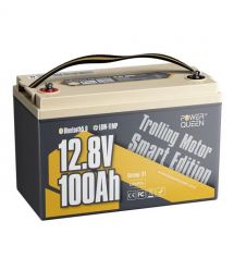 Акумуляторна батарея літій-залізо-фосфатна з Bluetooth тягова 12.8В 100А*год L
