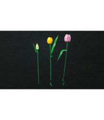 LEGO Конструктор LEGO Botanicals Букет тюльпанів