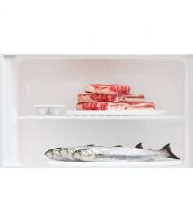 Beko Ref Beko with top freezer, 161x57x54, ref-204L, freez.-46L, 2doors, E, ST, white