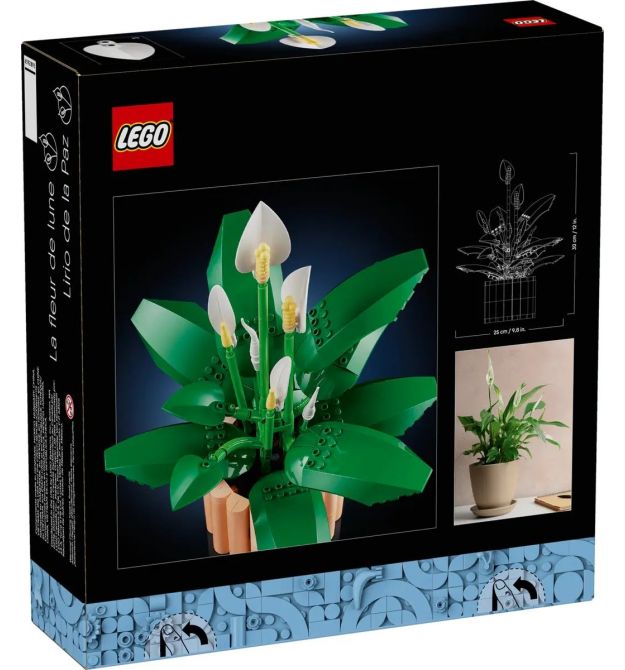 LEGO Конструктор LEGO Botanicals Спатифілум