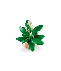 LEGO Конструктор LEGO Botanicals Спатифілум