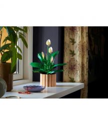 LEGO Конструктор LEGO Botanicals Спатифілум