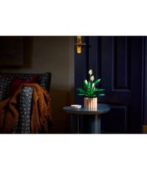 LEGO Конструктор LEGO Botanicals Спатифілум