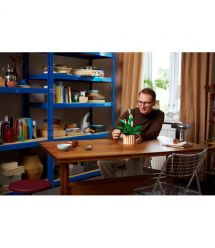 LEGO Конструктор LEGO Botanicals Спатифілум
