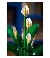 LEGO Конструктор LEGO Botanicals Спатифілум