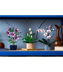 LEGO Конструктор LEGO Botanicals Спатифілум