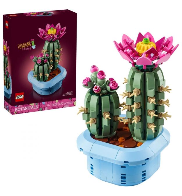 LEGO Конструктор LEGO Botanicals Цвітіння кактуса