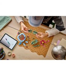 LEGO Конструктор LEGO Botanicals Цвітіння кактуса