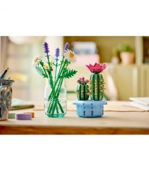 LEGO Конструктор LEGO Botanicals Цвітіння кактуса