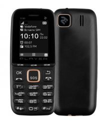 2E Мобильный телефон S180 2021 Dual SIM без ЗУ Black & Gold